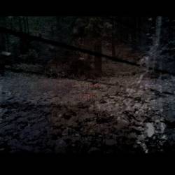 Deep-pression : A Herb